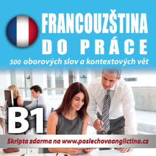 Francouzština do práce B1 - kolektiv autorů
