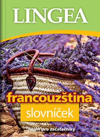 Francouzština - slovníček