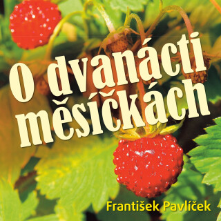 František Pavlíček: O dvanácti měsíčkách - Božena Němcová, Martin Růžek, Ladislav Županič, Otakar Brousek, David Schneider, Sylva Sequensová, Miroslav