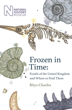 Frozen in Time - Rhys Charles