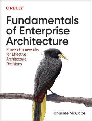 Fundamentals of Enterprise Architecture - Tanu McCabe