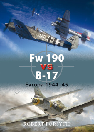 Fw 190 vs B-17 - Robert Forsyth