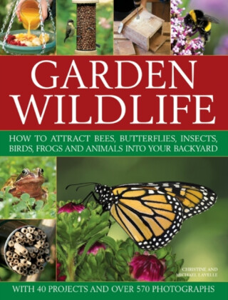 Garden Wildlife - Christine Lavelle
