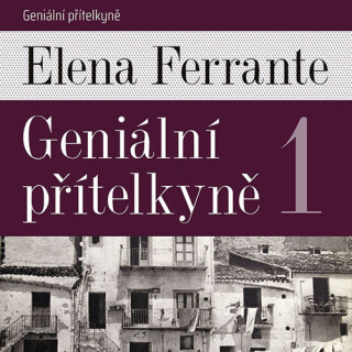 Geniální přítelkyně 1 (poškozené) - Elena Ferrante