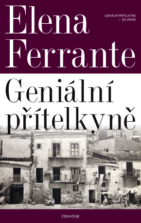Geniální přítelkyně - Elena Ferrante
