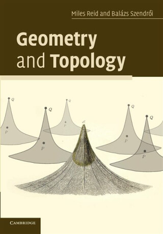 Geometry and Topology - Balazs  Szendroi,Miles  Reid