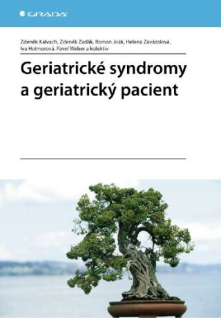 Geriatrické syndromy a geriatrický pacient - Zdeněk Zadák,Zdeněk Kalvach,Roman Jirák,Helena Zavázalová,Iva Holmerová,kolektiv a,Pavel Weber