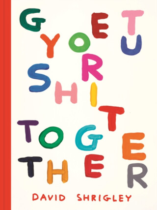 Get Your Sh*t Together - David Shrigley