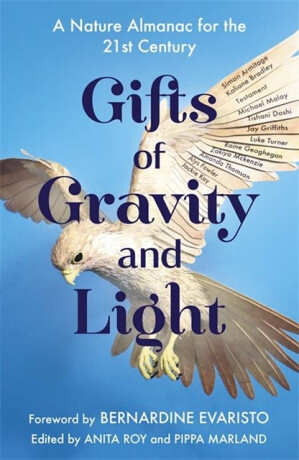 Gifts of Gravity and Light - Anita Roy,Pippa Marland