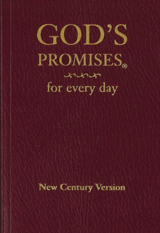 God's Promises for Every Day - Jack Countryman,A. Gill