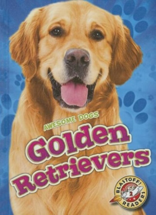 Golden Retrievers - Chris Bowman