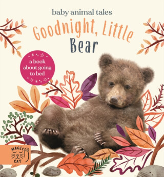Goodnight, Little Bear - Amanda Wood