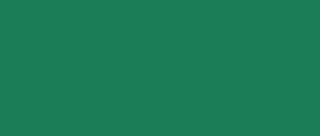 Gouache T7 20 ml - 222 Emerald green - 