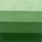 Grafická barva Charbonnel 60ml – sap green - 