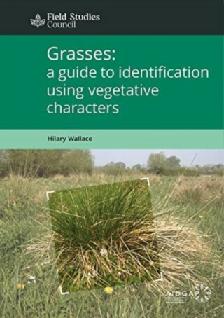 Grasses: a guide to identification using vegetative characters - Hilary Wallace