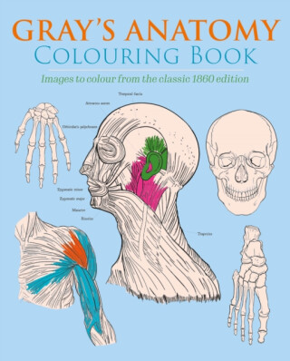 Gray's Anatomy Colouring Book - Henry Gray,Henry Carter