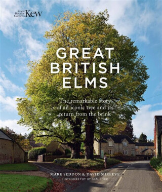 Great British Elms - David Shreeve,Mark Seddon