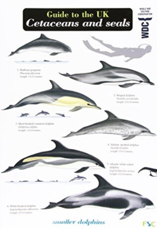 Guide to the UK Cetaceans and Seals - Mark Peter Simmonds