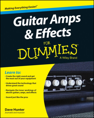 Guitar Amps & Effects For Dummies - Hunter Dave