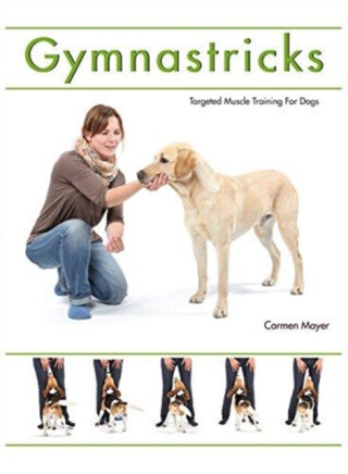 Gymnastricks - Carmen Meyer