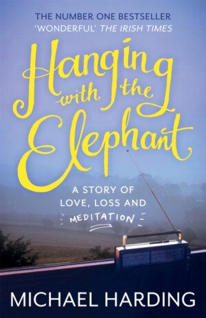 Hanging with the Elephant: A Story of Love, Loss and Meditation - Michael Harding