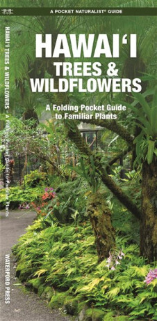 Hawai'i Trees & Wildflowers, 2nd Ed - James Kavanagh