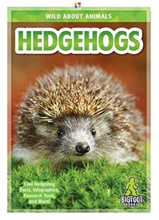 Hedgehogs - Emma Huddleston