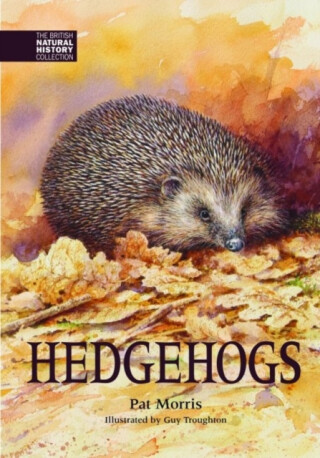 Hedgehogs - Pat Morris