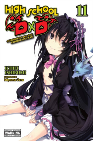 High School DxD, Vol. 11 (light novel) - Ichiei Ishibumi,Miyama-Zero Miyama-Zero,Haydn Trowell