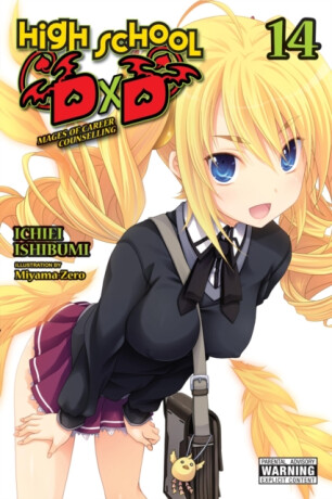 High School DxD, Vol. 14 (light novel) - Ichiei Ishibumi,Miyama-Zero Miyama-Zero,Haydn Trowell