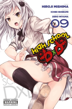 High School DxD, Vol. 9 - Ichiei Ishibumi