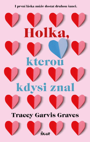 Holka, kterou kdysi znal - Tracy Gravesová Garvisová