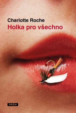Holka pro všechno - Charlotte Roche