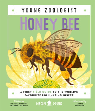 Honey Bee (Young Zoologist) - Neon Squid,Priyadarshini Chakrabarti Basu