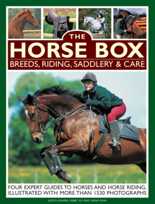 Horse Box: Breeds, Riding, Saddlery & Care - Muir Sarah
