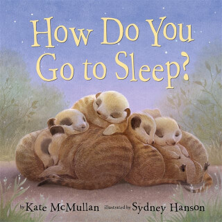 How Do You Go to Sleep? - Kate McMullan,Sydney Hanson