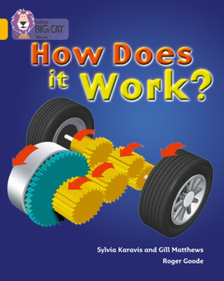 How Does It Work - Sylvia Karavis,Gill Matthews