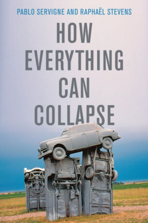 How Everything Can Collapse – A Manual for our Times - Pablo Servigne,Raphael Stevens
