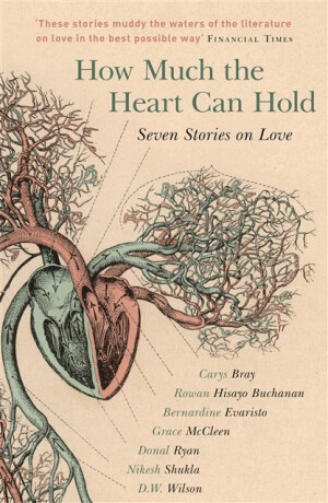 How Much the Heart Can Hold - Donal Ryan,Shukla Nikesh,Carys Brayová,Bernardine Evaristová,Rowan Hisayo Buchanan,Grace McCleen,D.W. Wilson