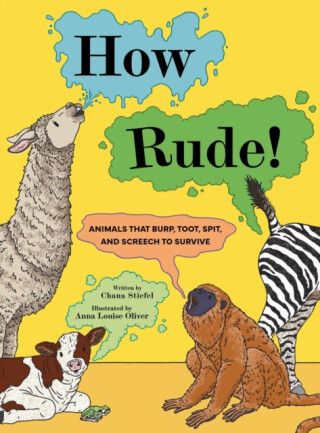 How Rude! - Chana Stiefel