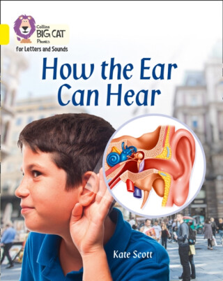 How the Ear Can Hear - Kate Scott