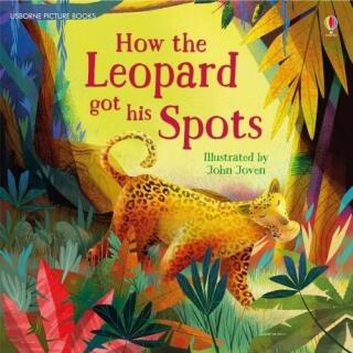 How The Leopard Got His Spots - Rosie Dickinsová
