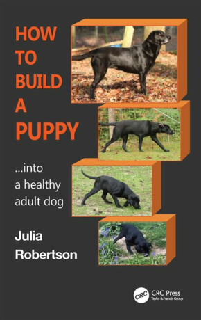 How to Build a Puppy - Julia Robertson