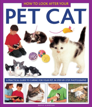 How to Look After Your Pet Cat - David Alderton