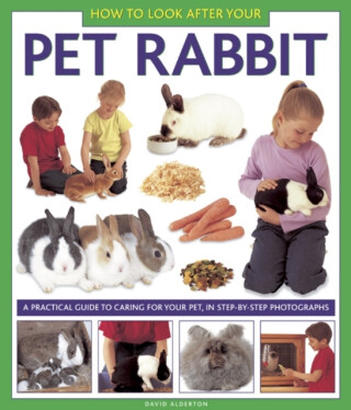 How to Look After Your Pet Rabbit - David Alderton