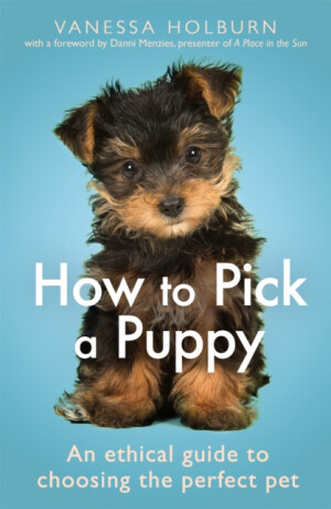 How To Pick a Puppy - Vanessa Holburn