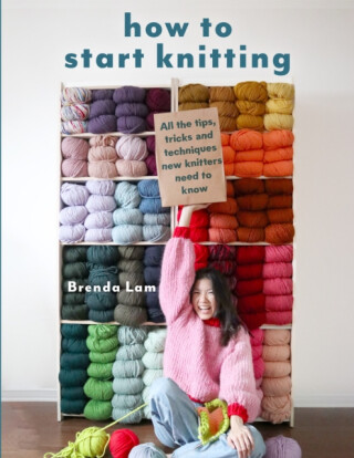 How to Start Knitting - Brenda Lam