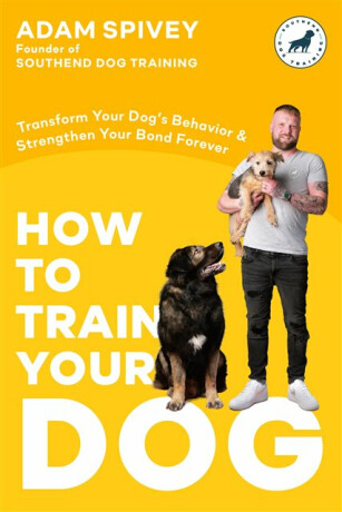 How to Train Your Dog - 
