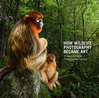 How Wildlife Photography Became Art - 