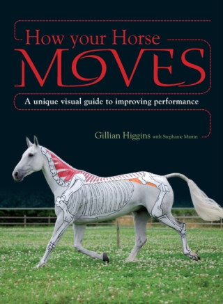How Your Horse Moves - Gillian Higginsová,Stephanie Martin